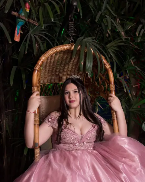 Book de 15 en set, soñar despierta con el vestido de la fiesta: foto 5 de 14