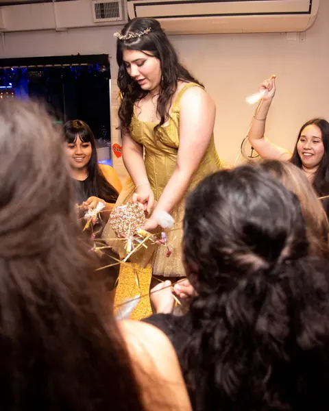 Fiesta y baile, fiesta de 15: foto 6 de 14
