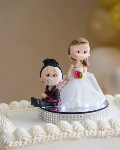 Fiesta de casamiento, ingreso de los novios, vals & baile: foto 1 de 28