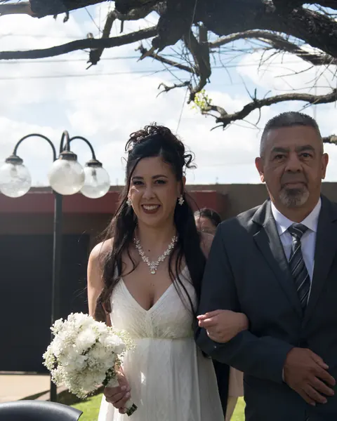 Fiesta de casamiento, ingreso de los novios, vals & baile: foto 7 de 28
