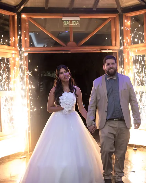 Fiesta de casamiento, ingreso de novios & baile: foto 1 de 31