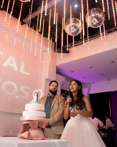 Fiesta de casamiento, ingreso de novios & baile: foto 31 de 31